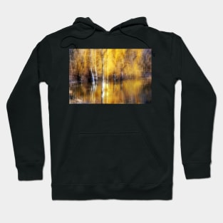 Golden Reflections Hoodie